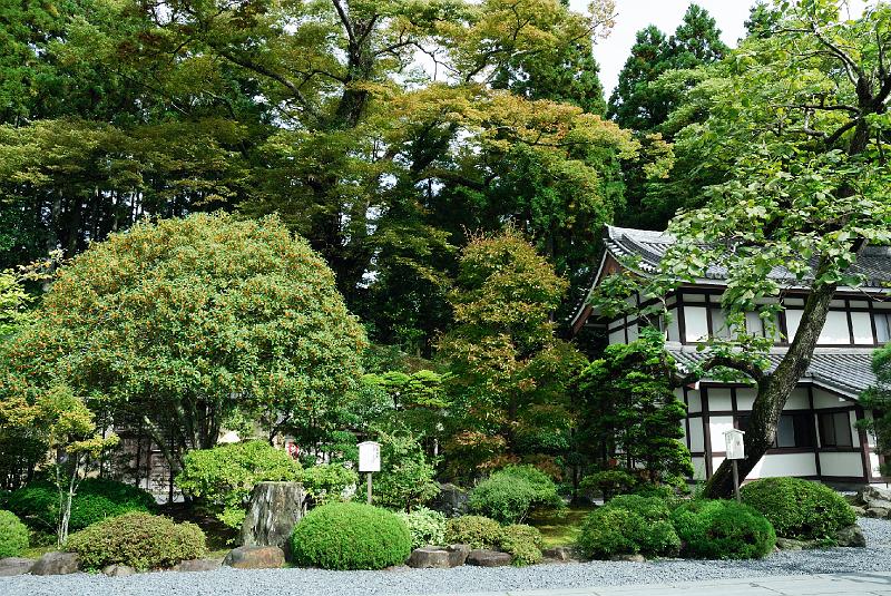 DSC_2265.jpg - 瑞巌寺境内