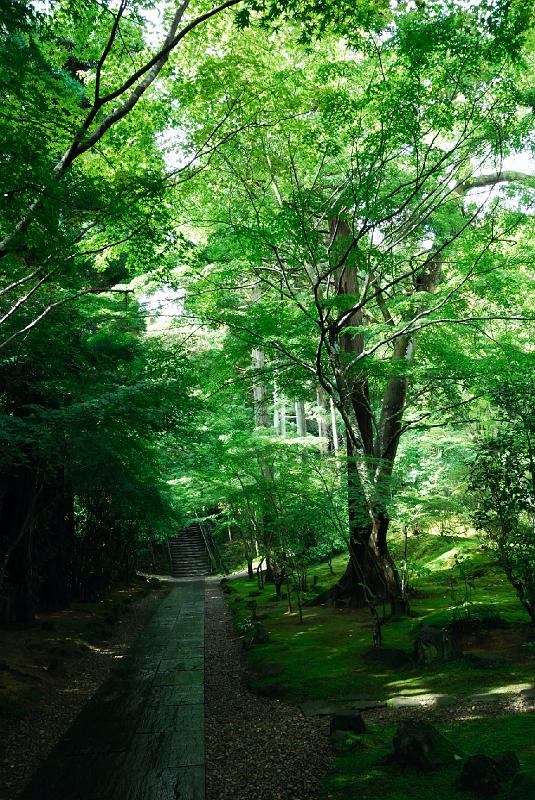 DSC_2271.jpg - 円通院 庭園にて