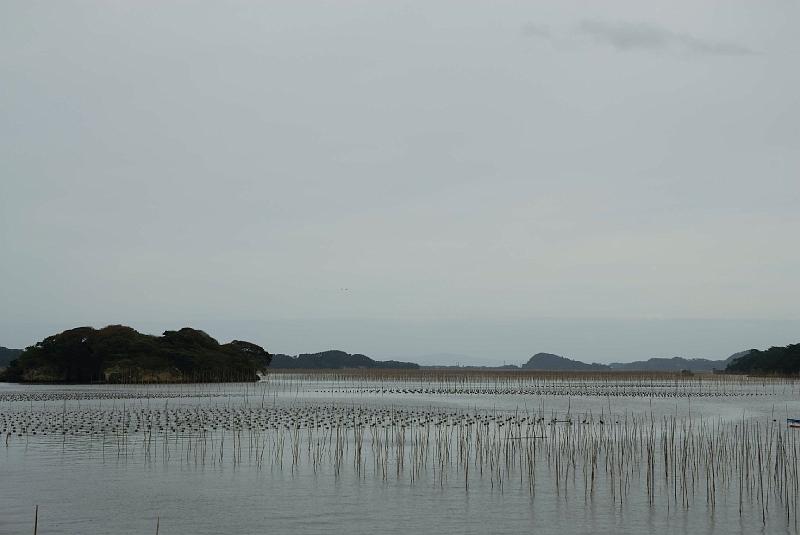 DSC_2302.jpg - 県立自然植物公園福浦島より