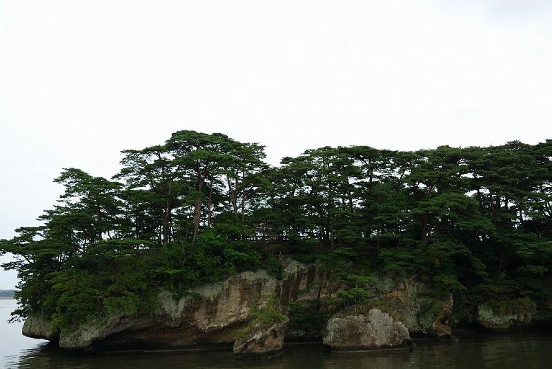 DSC_2303.jpg - 県立自然植物公園福浦島より
