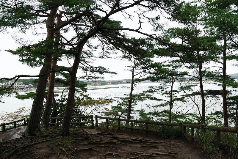 DSC_2324.jpg - 県立自然植物公園福浦島にて