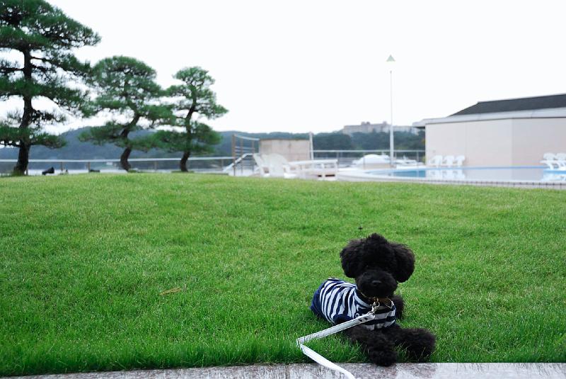 DSC_2405.jpg - 松島センチュリーホテルにて