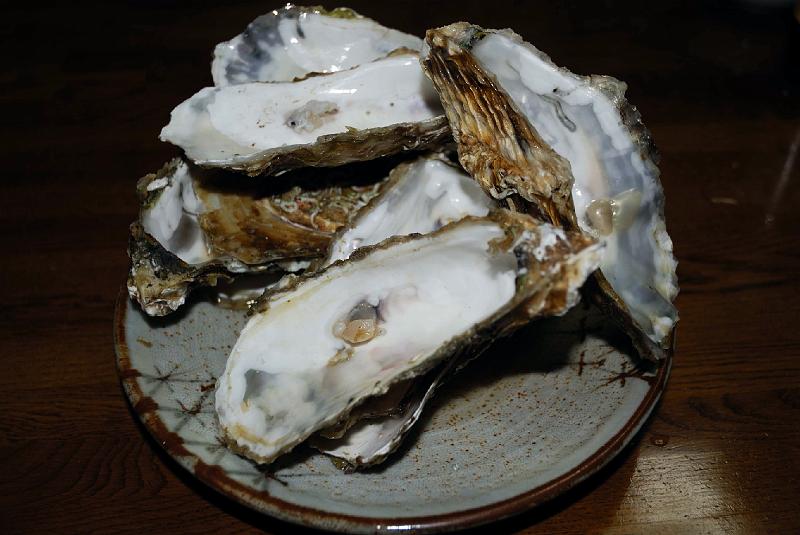 DSC_2545.jpg - 松島で購入した牡蠣、食後 :-)