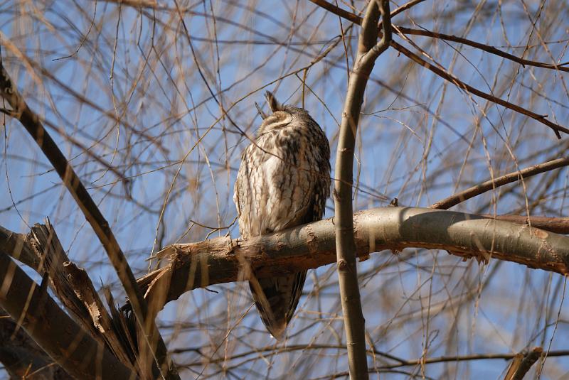 DSC_3174.jpg