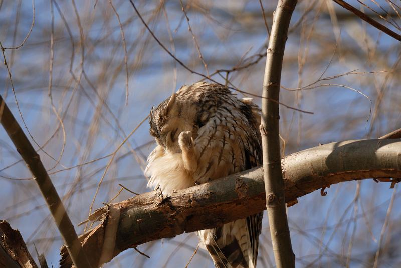 DSC_3184.jpg