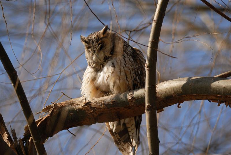 DSC_3193.jpg