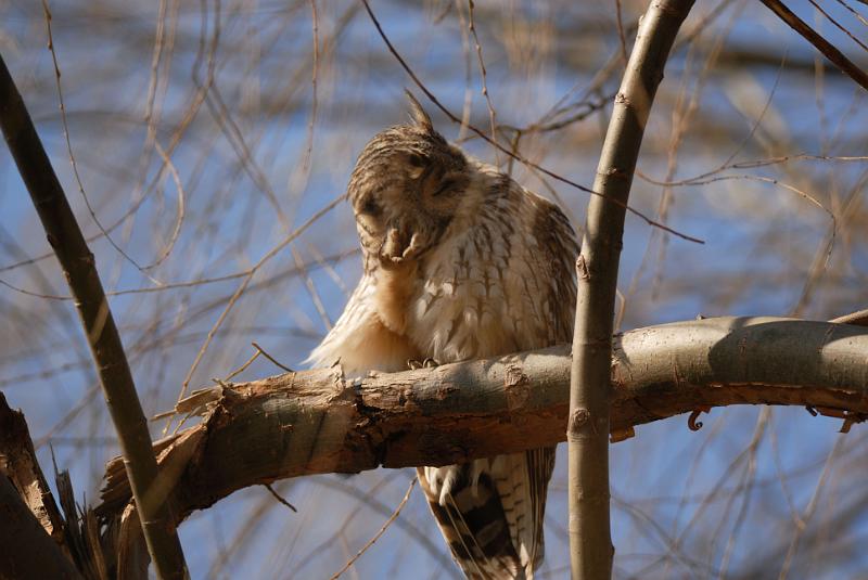 DSC_3194.jpg