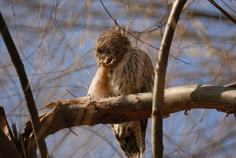 DSC_3195.jpg