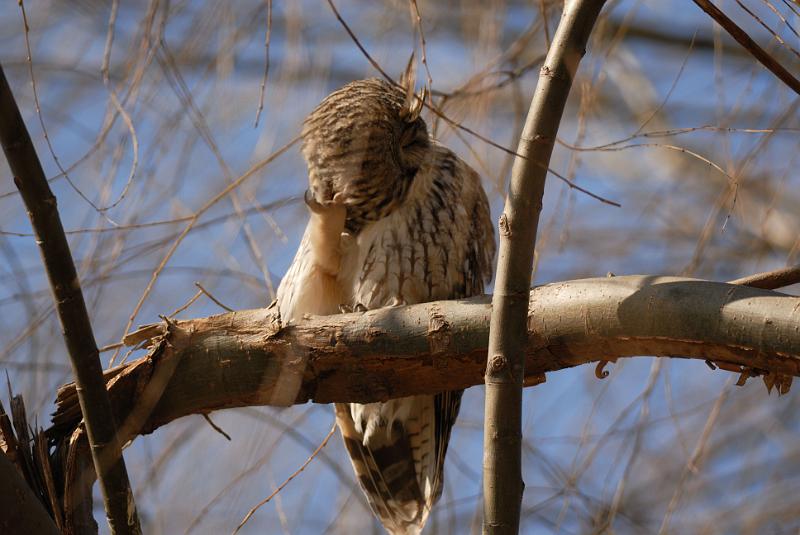 DSC_3196.jpg