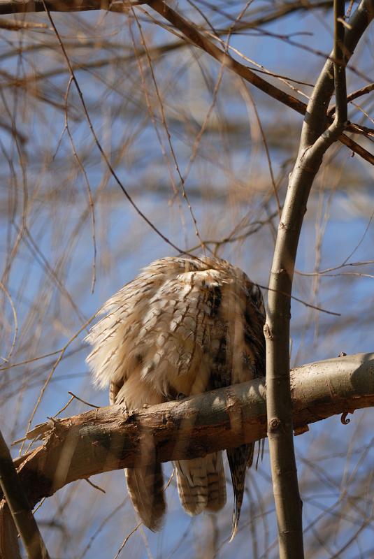 DSC_3197.jpg
