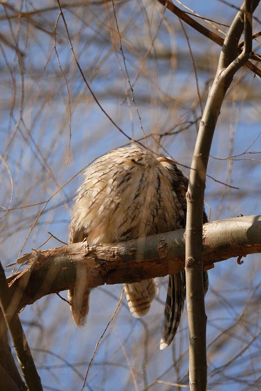 DSC_3198.jpg