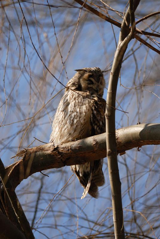 DSC_3206.jpg
