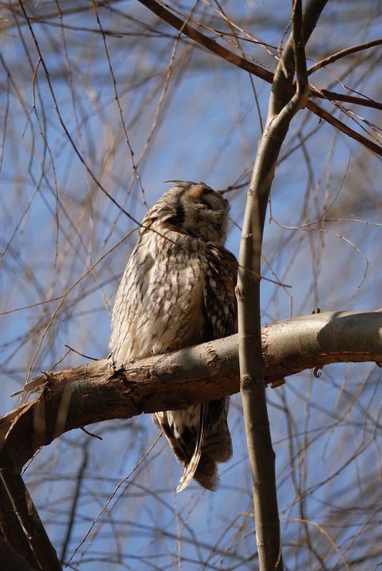 DSC_3207.jpg