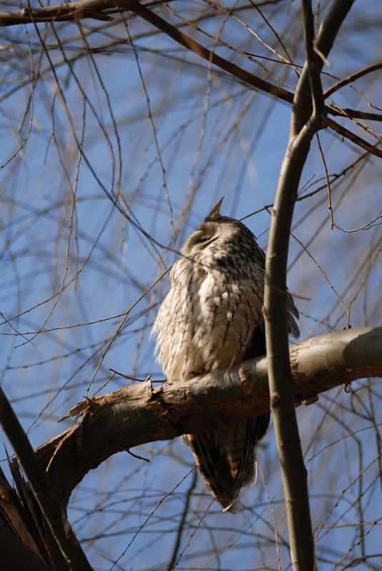 DSC_3213.jpg
