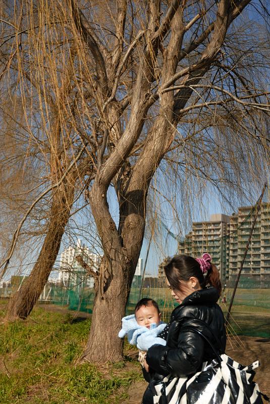 DSC_3244.jpg