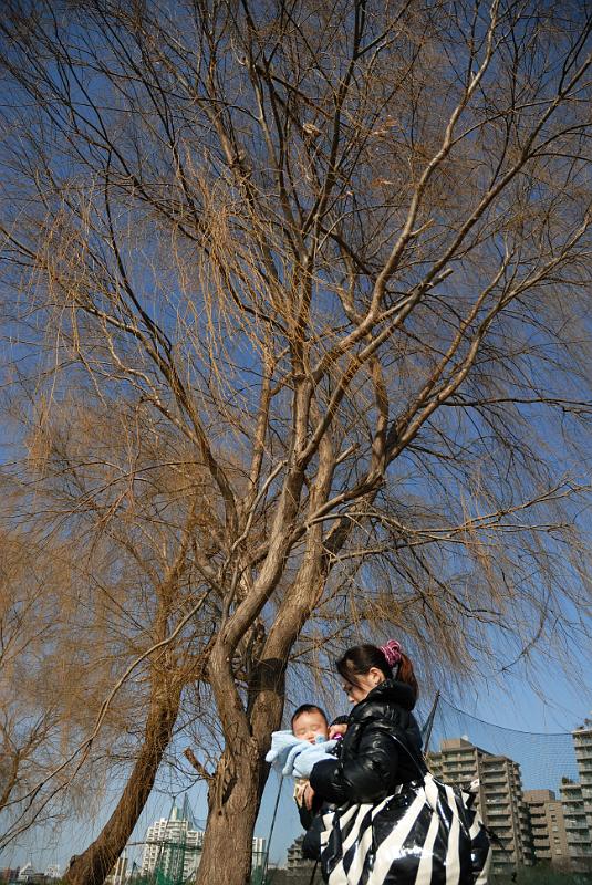 DSC_3245.jpg