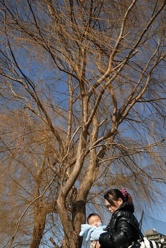DSC_3248.jpg
