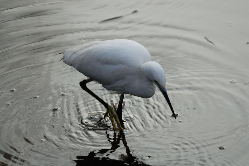DSC_3257.jpg
