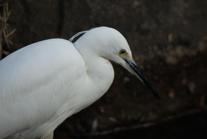 DSC_3259.jpg