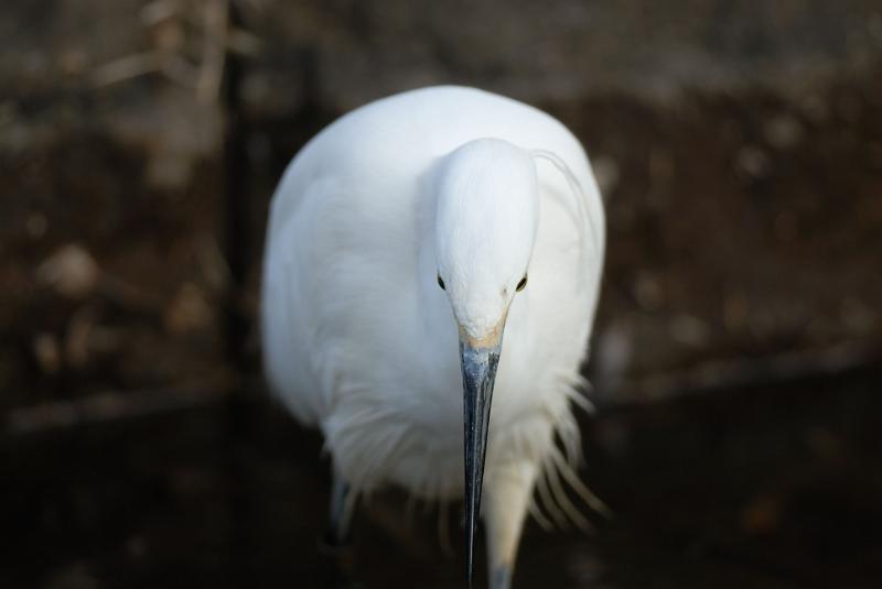 DSC_3261.jpg
