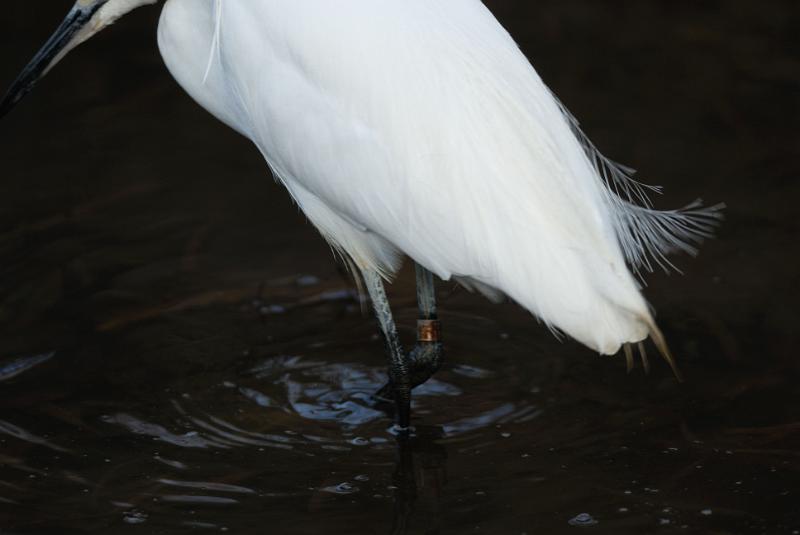 DSC_3283.jpg