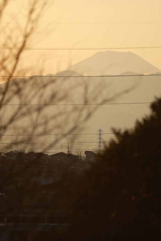 DSC_3289.jpg