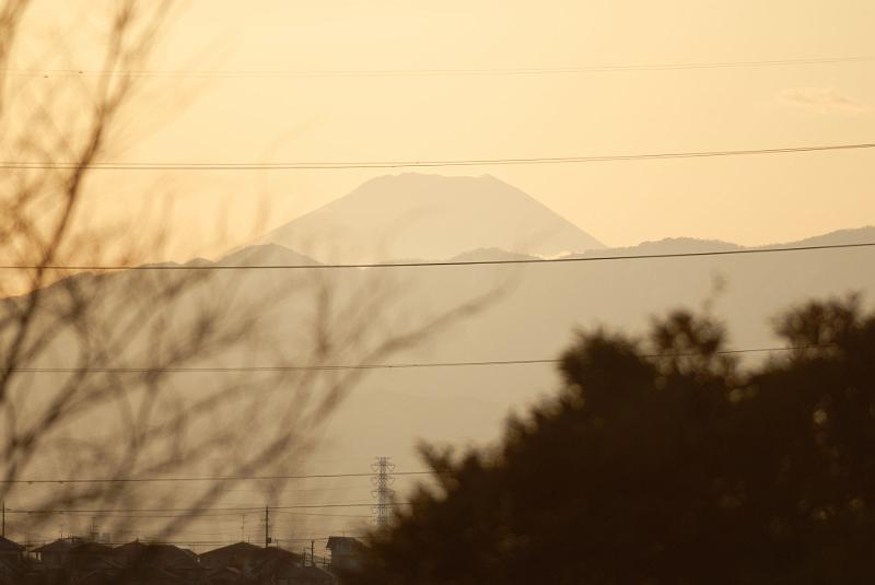 DSC_3290.jpg