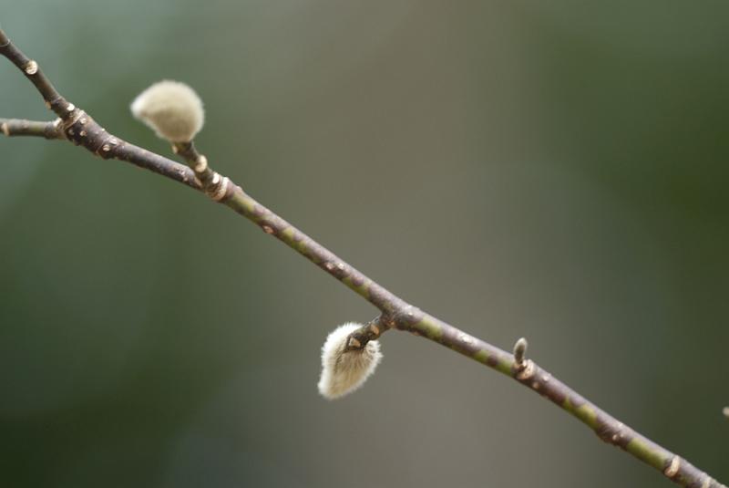 DSC_3317.jpg