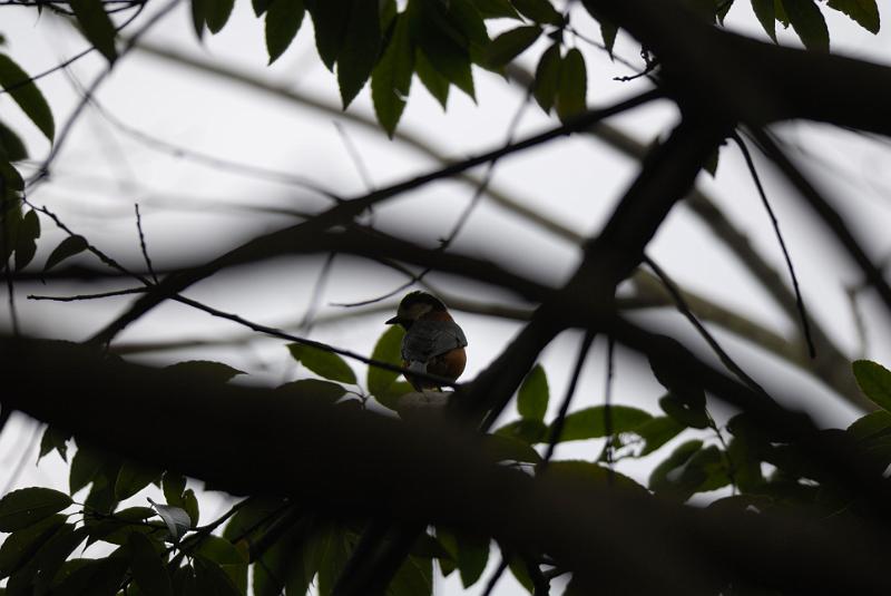 DSC_3344.jpg