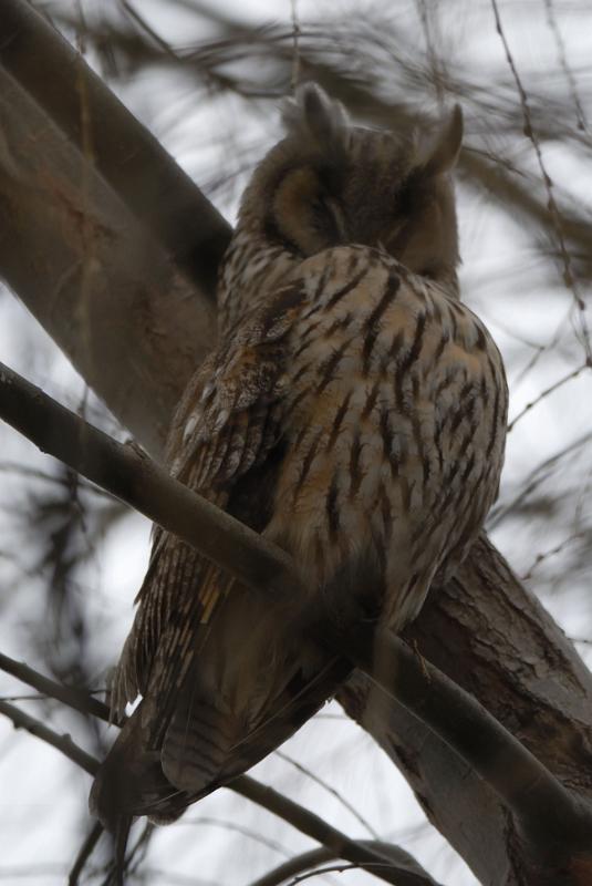 DSC_3356.jpg