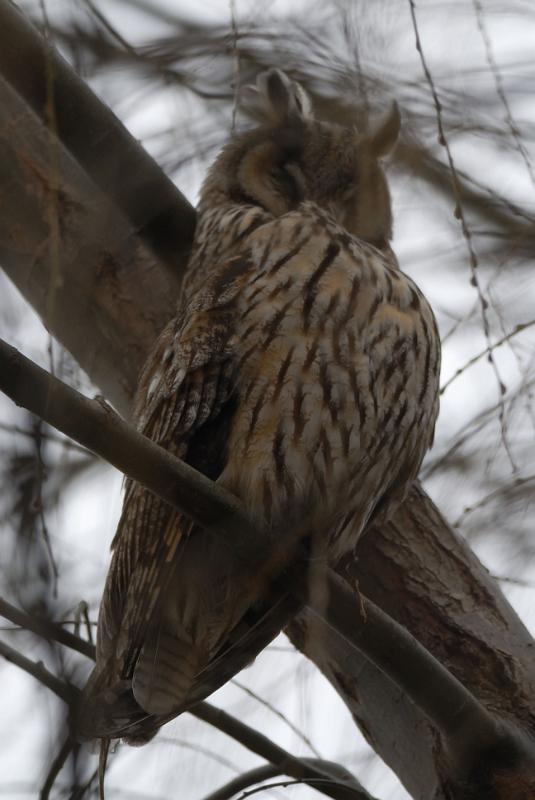 DSC_3358.jpg