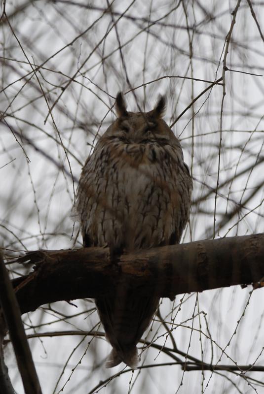 DSC_3364.jpg