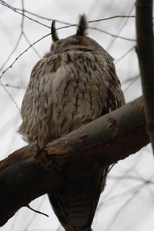 DSC_3377.jpg