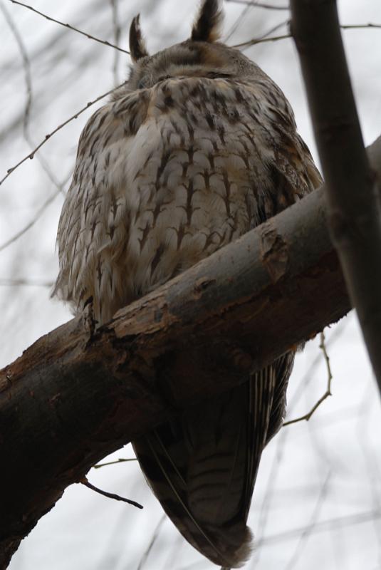 DSC_3386.jpg