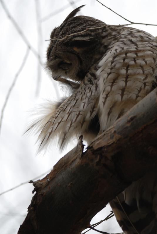 DSC_3424.jpg