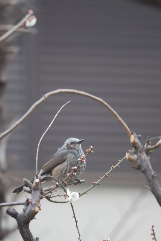 DSC_3470.jpg
