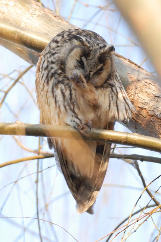 DSC_3496.jpg