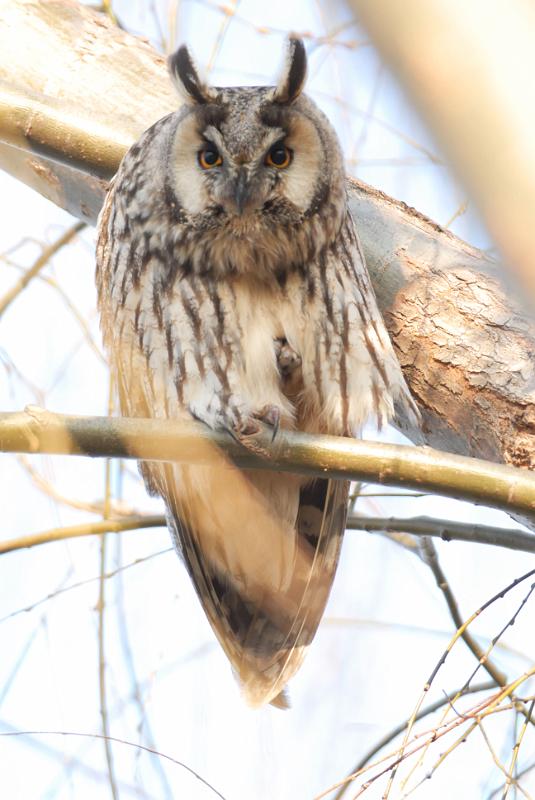 DSC_3503.jpg