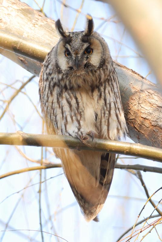 DSC_3507.jpg
