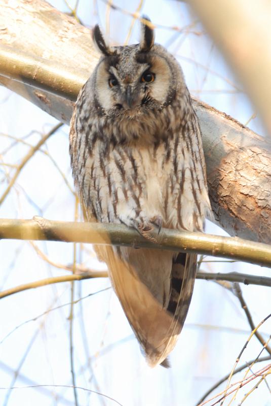 DSC_3511.jpg
