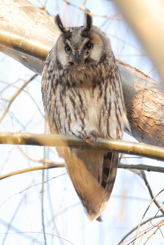 DSC_3512.jpg