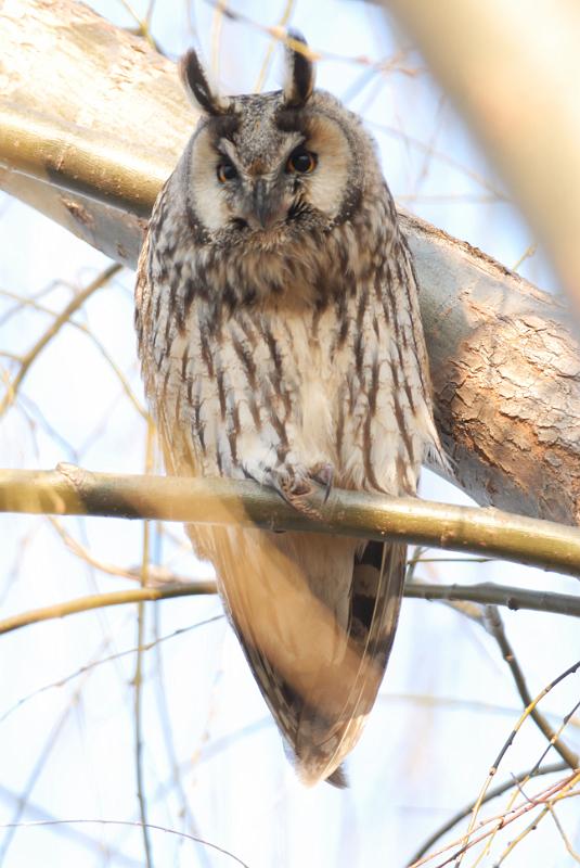 DSC_3513.jpg