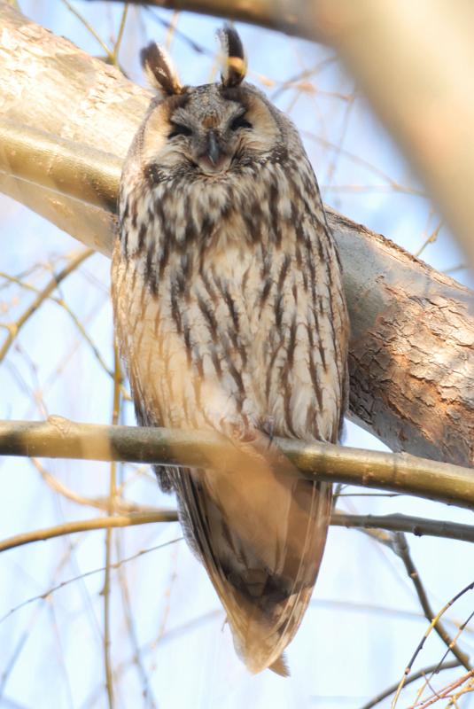 DSC_3514.jpg