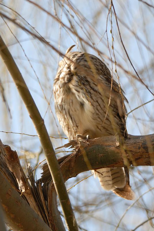 DSC_3539.jpg