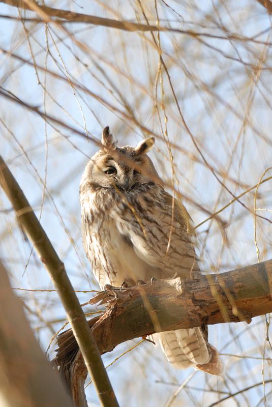DSC_3543.jpg