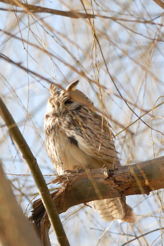 DSC_3546.jpg