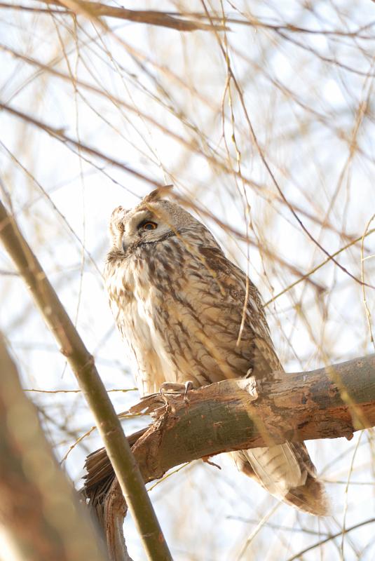 DSC_3560.jpg