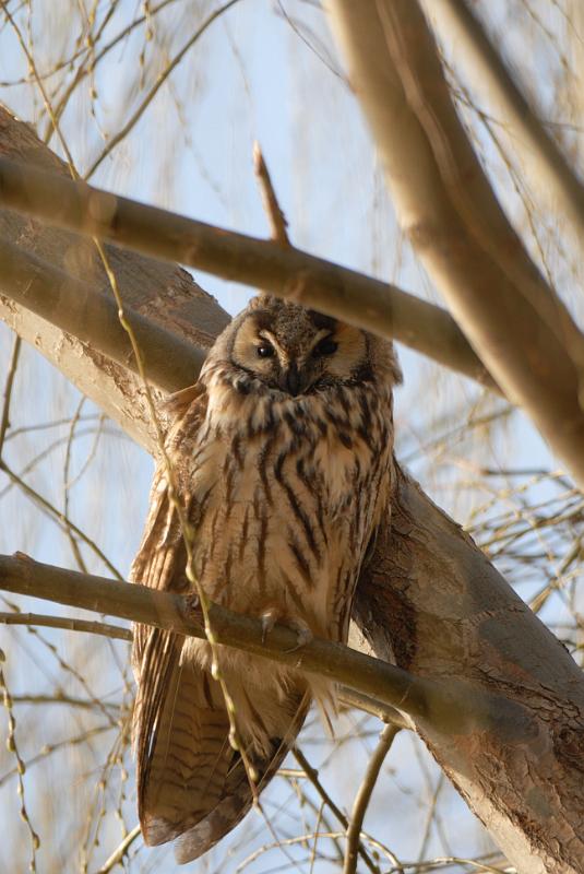 DSC_3583.jpg